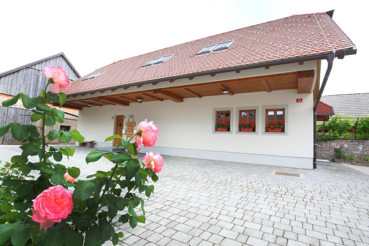 Apartments Vrdjan Cerknica Luaran gambar