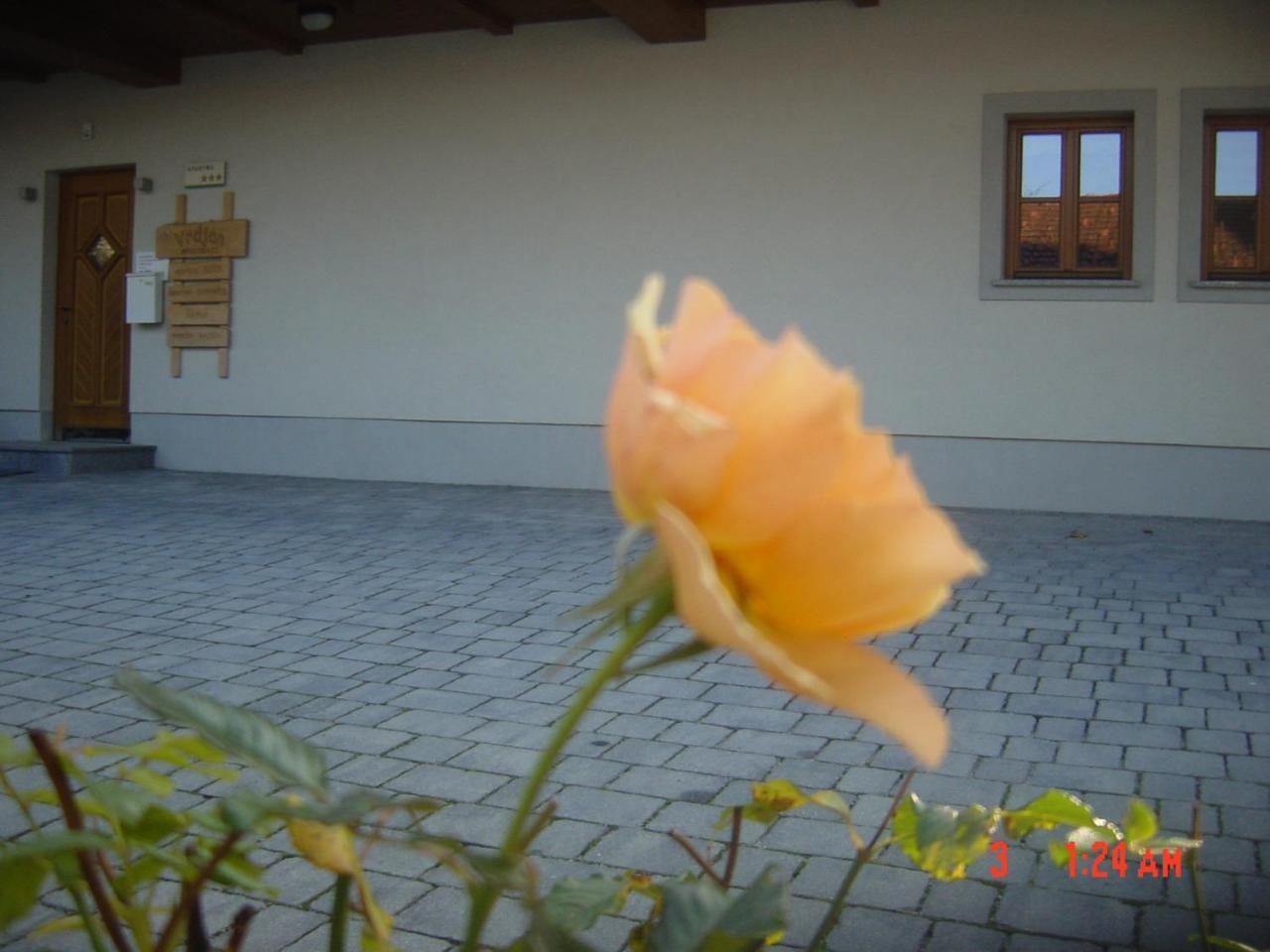 Apartments Vrdjan Cerknica Luaran gambar